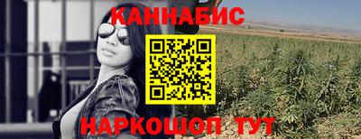 сатива Камень-на-Оби
