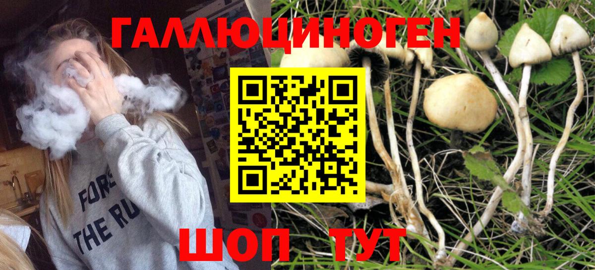 Псилоцибиновые грибы Psilocybine cubensis  Вход с VPN  Долгопрудный 