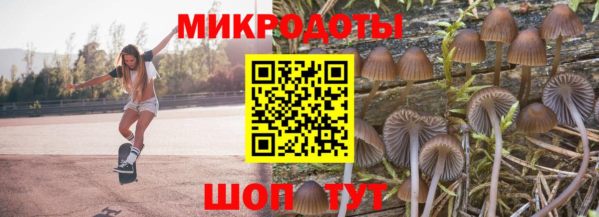Галлюциногенные грибы Cubensis Долгопрудный